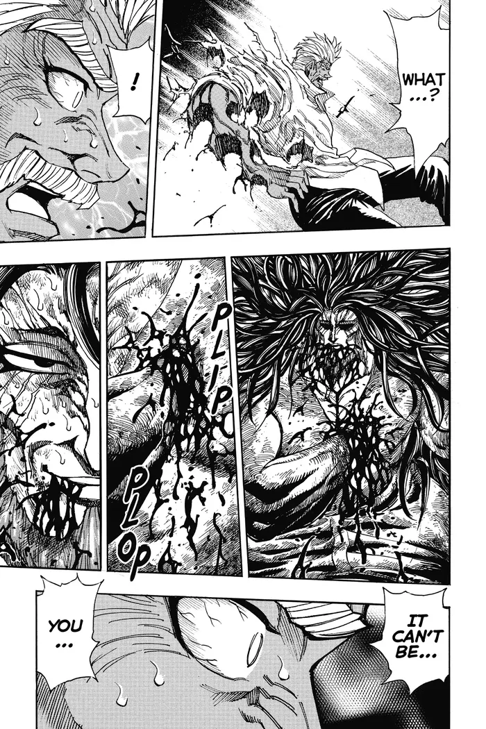 Toriko Chapter 249 image 17_optimized